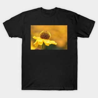 The Golden Hours T-Shirt